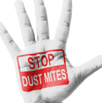 Battle Dust Mites